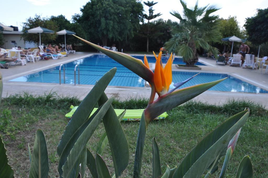 Stork Hotel Amudára Laszithiu Kültér fotó